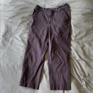 Everlane Dark Grey Straight Cropped Pants Women’s Size 10